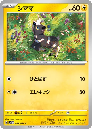 Blitzle 028/174 — White Flare (Japanese Pokémon TCG card)