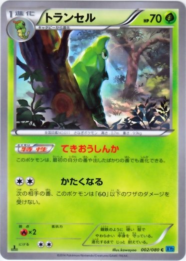 Metapod 002/90 — Wild Blaze (Japanese Pokémon TCG card)