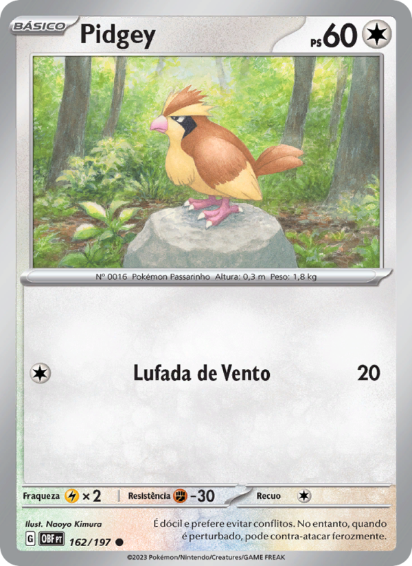 Pidgey 162 — Obsidiana em Chamas (Portuguese Pokémon TCG card)