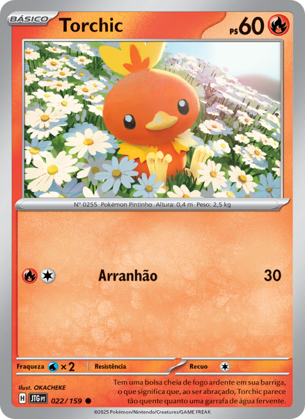 Torchic 022 — Amigos de Jornada (Portuguese Pokémon TCG card)