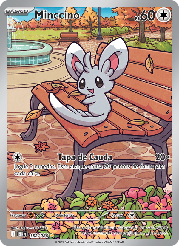 Minccino 152 — Schwarze Blitze (Portuguese Pokémon TCG card)