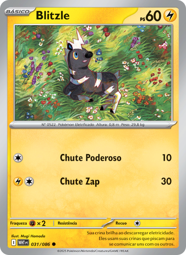 Blitzle 031 — Fogo Branco (Portuguese Pokémon TCG card)