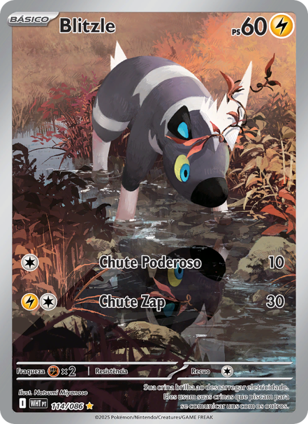 Blitzle 114 — Fogo Branco (Portuguese Pokémon TCG card)