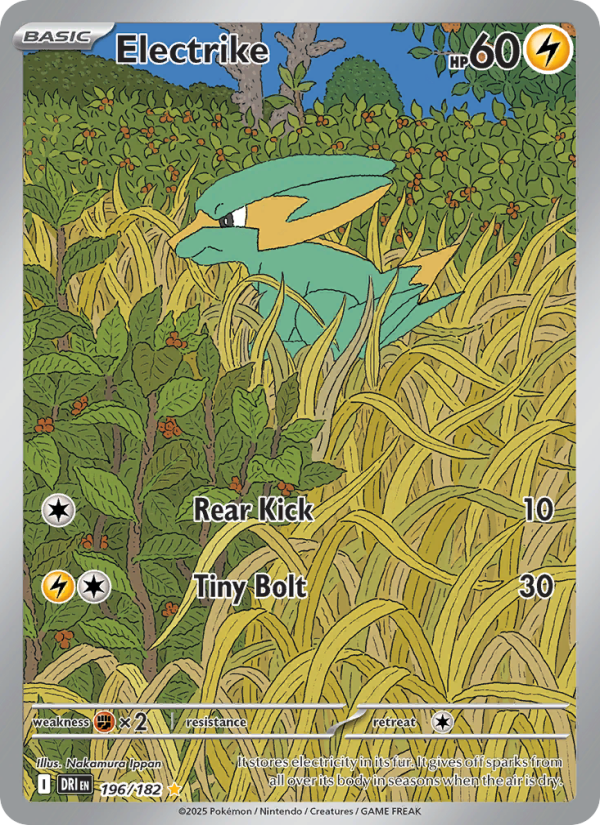 Electrike 196/244 — Destined Rivals (English Pokémon TCG card)