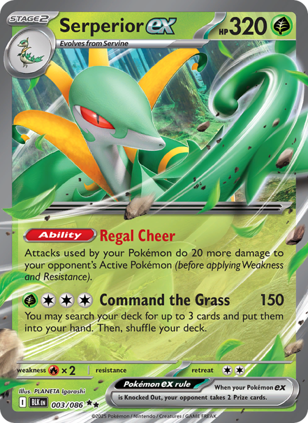 Serperior ex 003/172 — Black Bolt (English Pokémon TCG card)