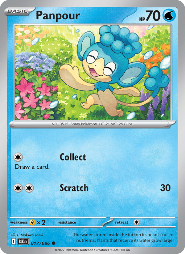 Panpour 017/172 — Black Bolt (English Pokémon TCG card)