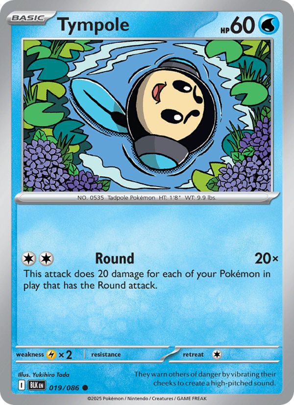 Tympole 019/172 — Black Bolt (English Pokémon TCG card)