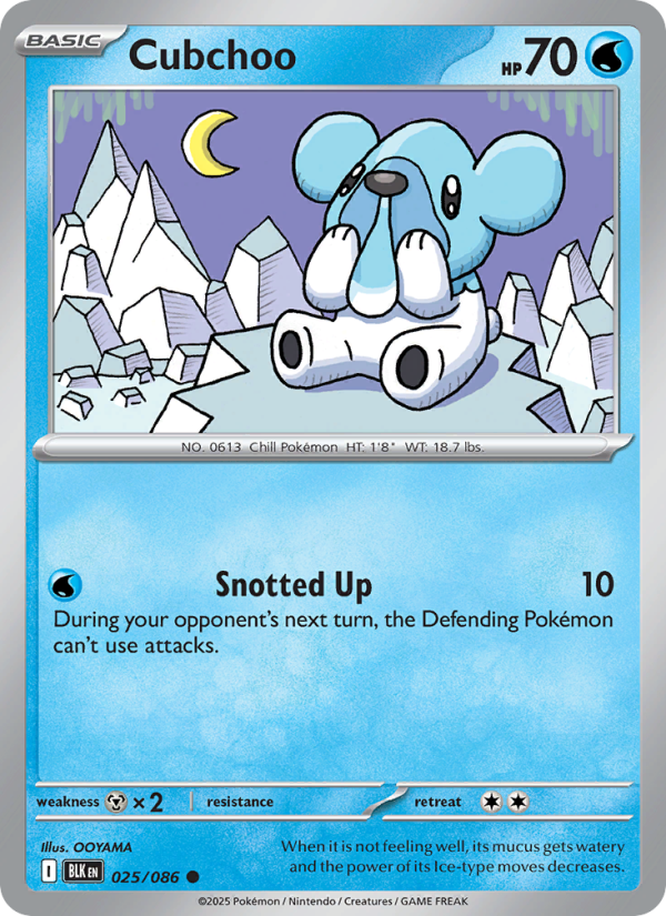 Cubchoo 025/172 — Black Bolt (English Pokémon TCG card)