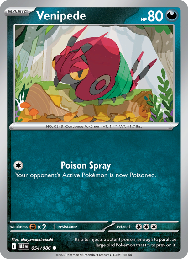 Venipede 054/172 — Black Bolt (English Pokémon TCG card)