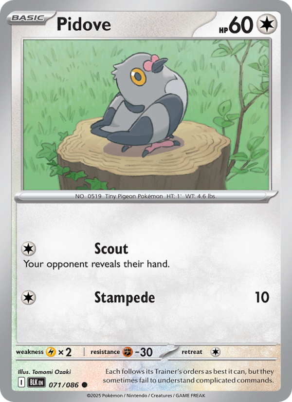 Pidove 071/172 — Black Bolt (English Pokémon TCG card)
