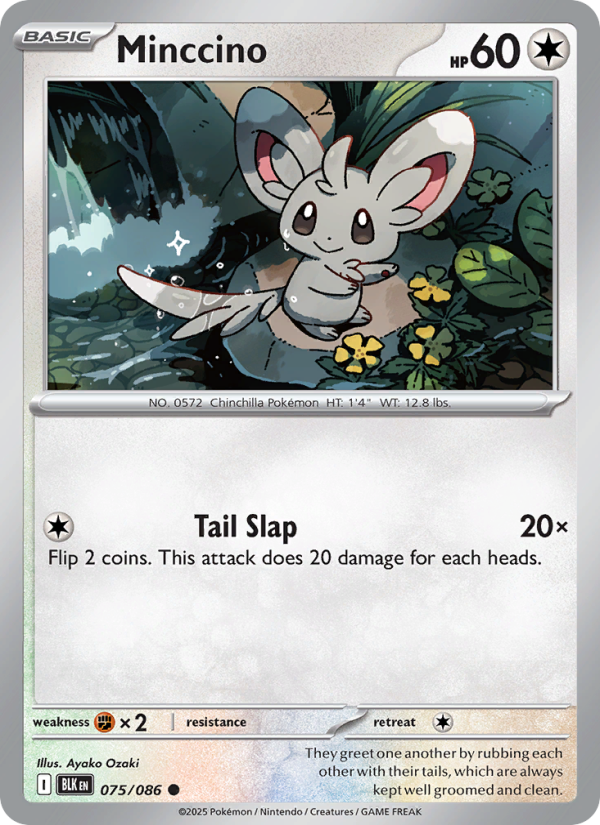 Minccino 075/172 — Black Bolt (English Pokémon TCG card)