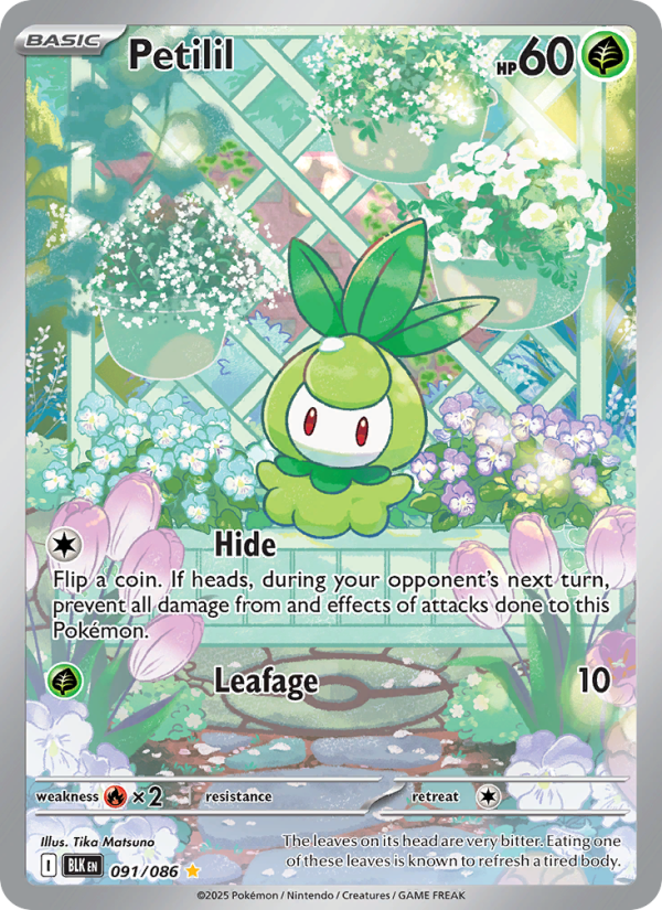 Petilil 091/172 — Black Bolt (English Pokémon TCG card)