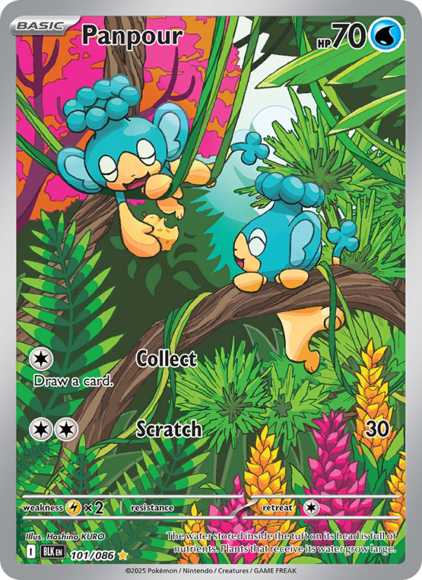 Panpour 101/172 — Black Bolt (English Pokémon TCG card)