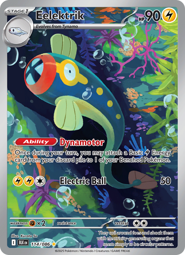 Eelektrik 114/172 — Black Bolt (English Pokémon TCG card)