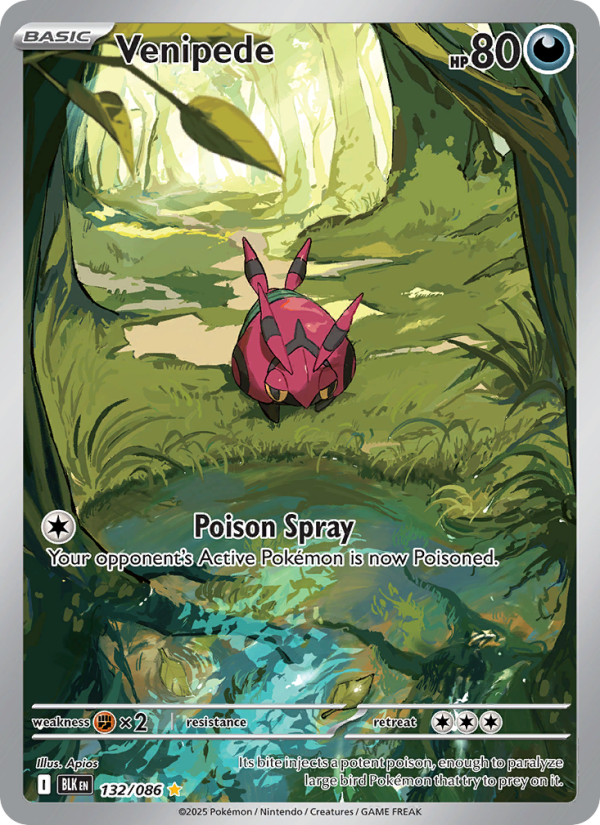 Venipede 132/172 — Black Bolt (English Pokémon TCG card)