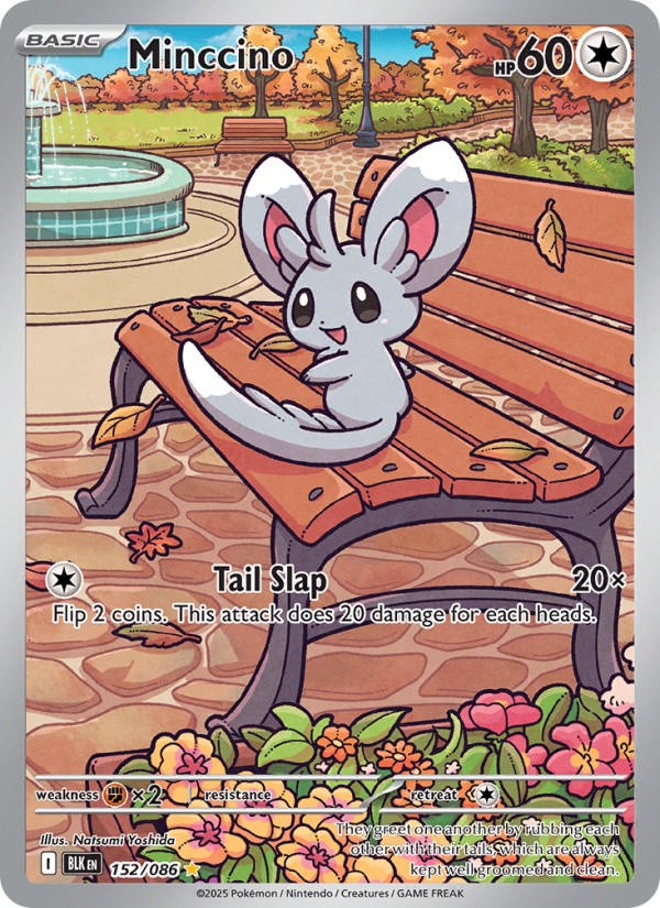 Minccino 152/172 — Black Bolt (English Pokémon TCG card)